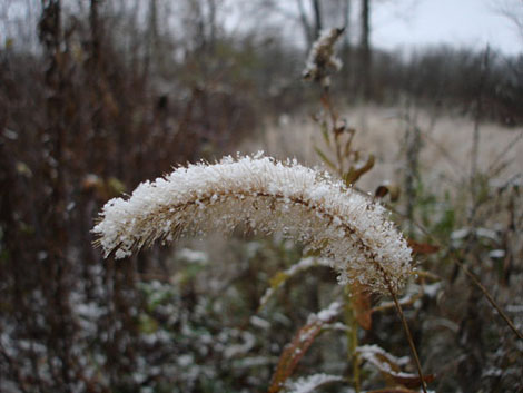 dusting of snow