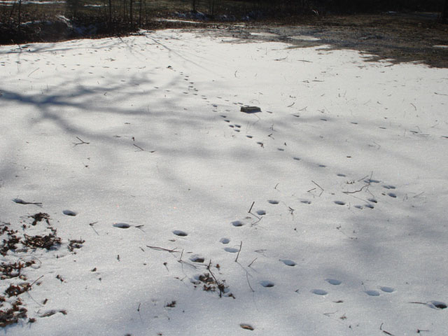 feb 2008 winter