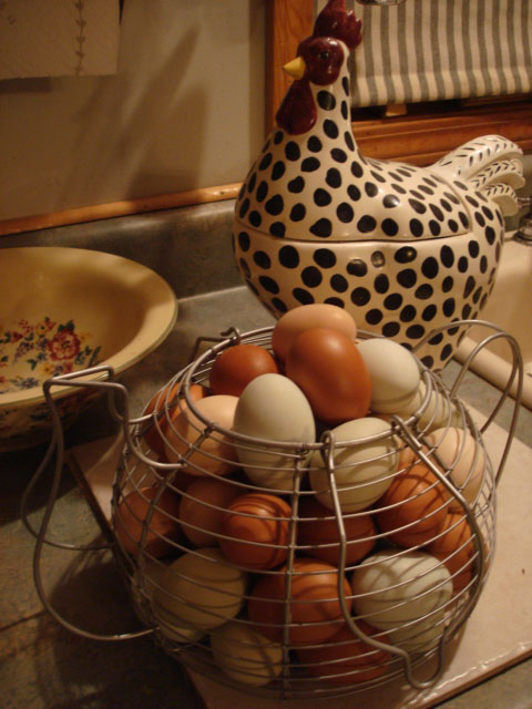 organic eggs